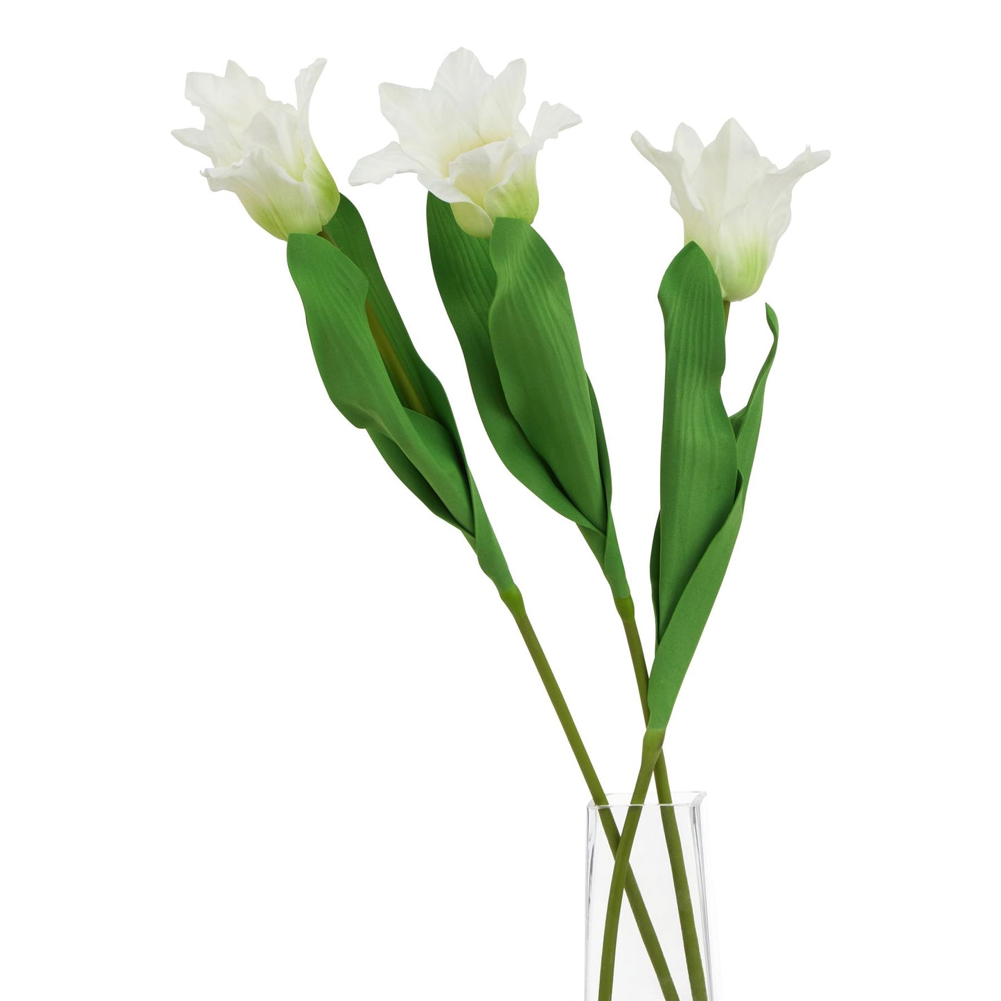 Set of 3 Artificial Flowers White Curcuma Stem