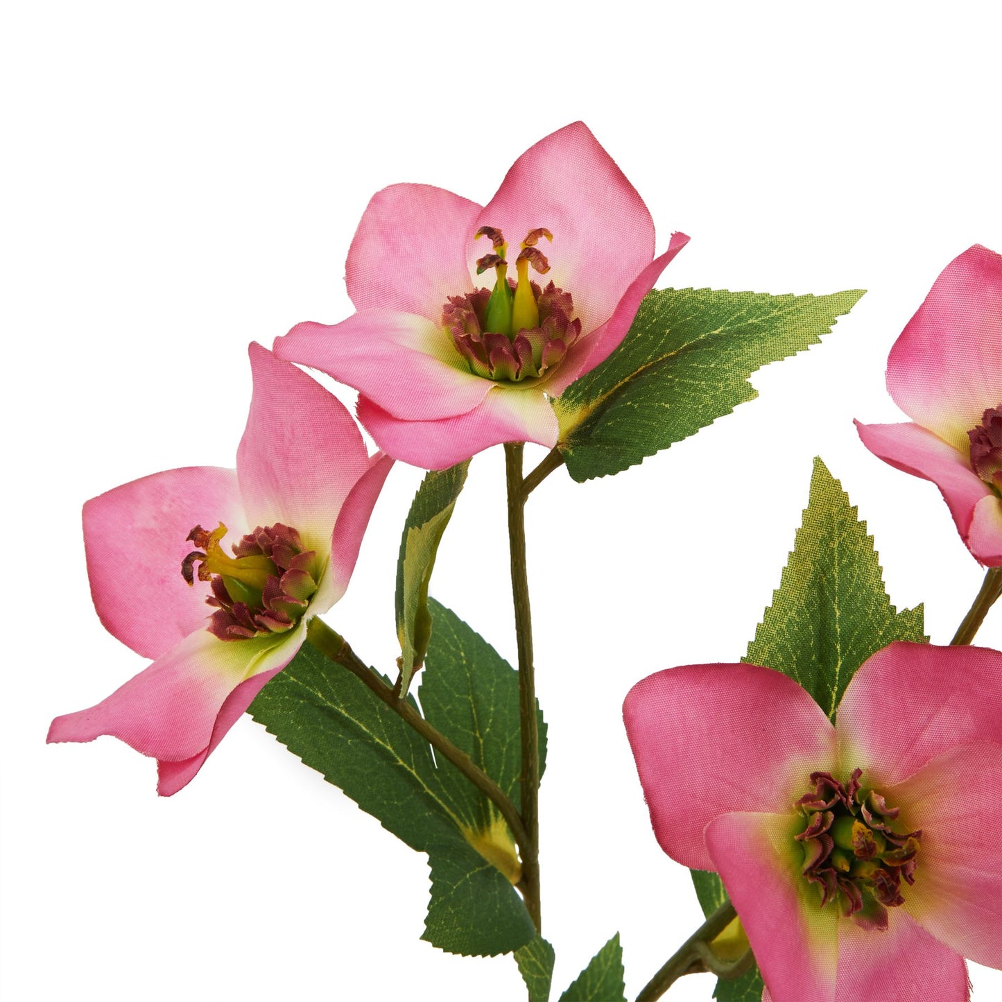 Set of 3 Artificial Flowers Pink Variegated Hellebore Stem