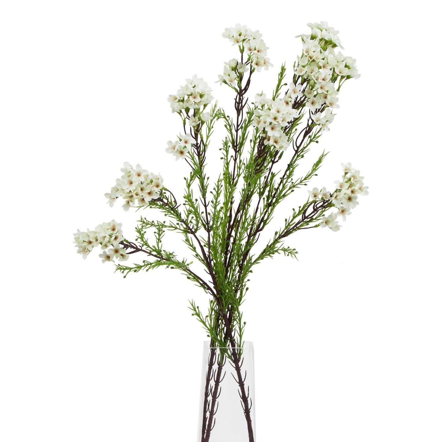 Set of 3 Artificial Flowers White Waxflower Stems