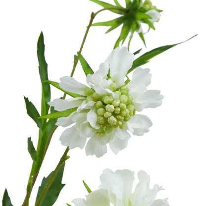 Set of 3 Artificial Flowers White Scabious Stems