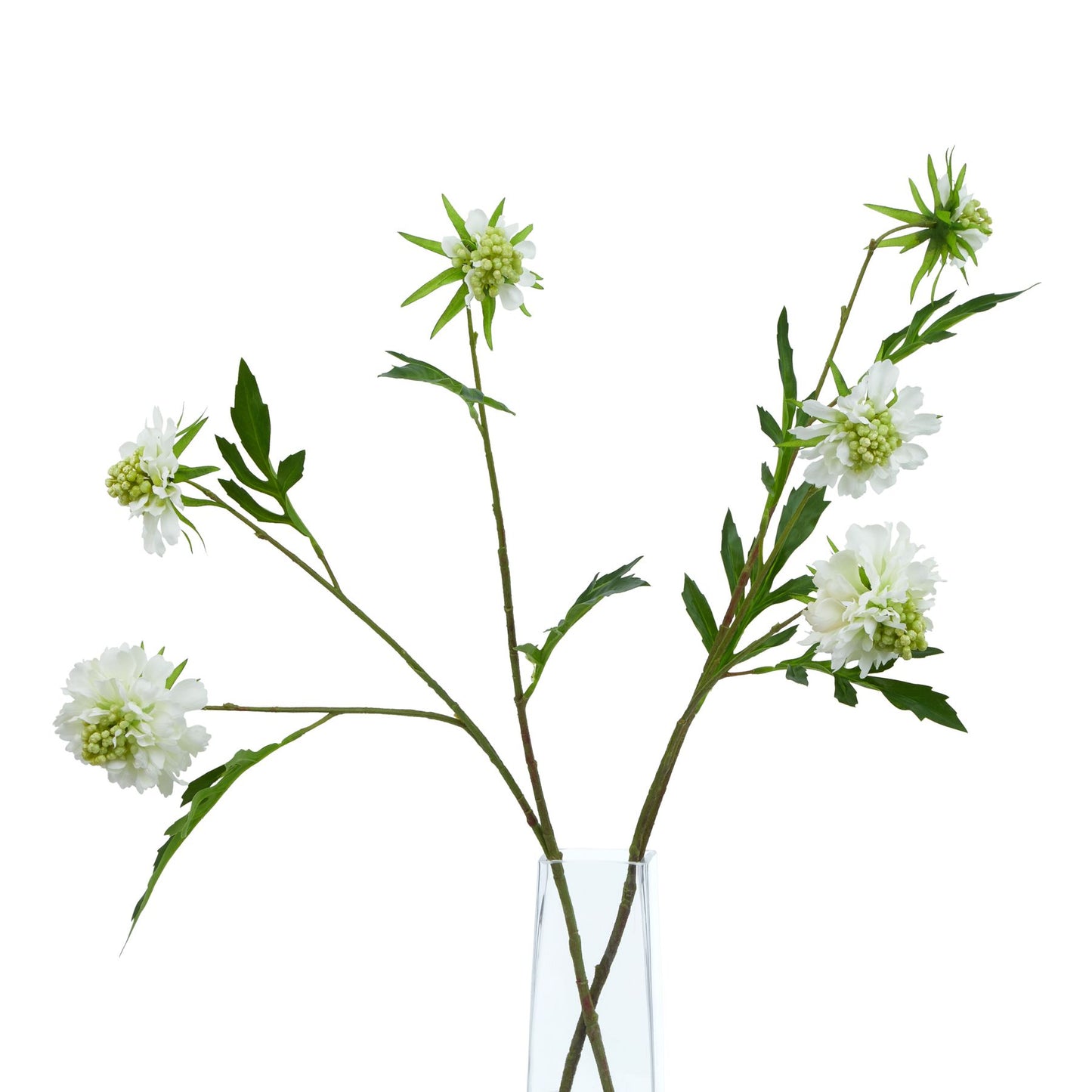 Set of 3 Artificial Flowers White Scabious Stems