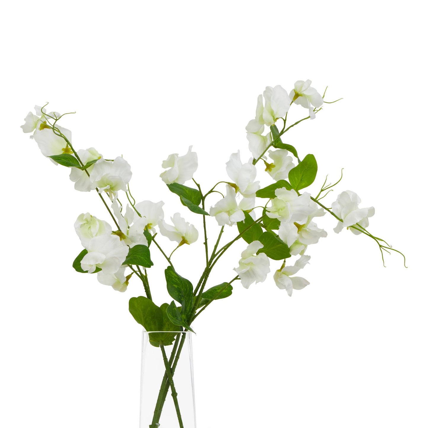 Set of 3 Artificial Flowers White Sweet Pea Stems