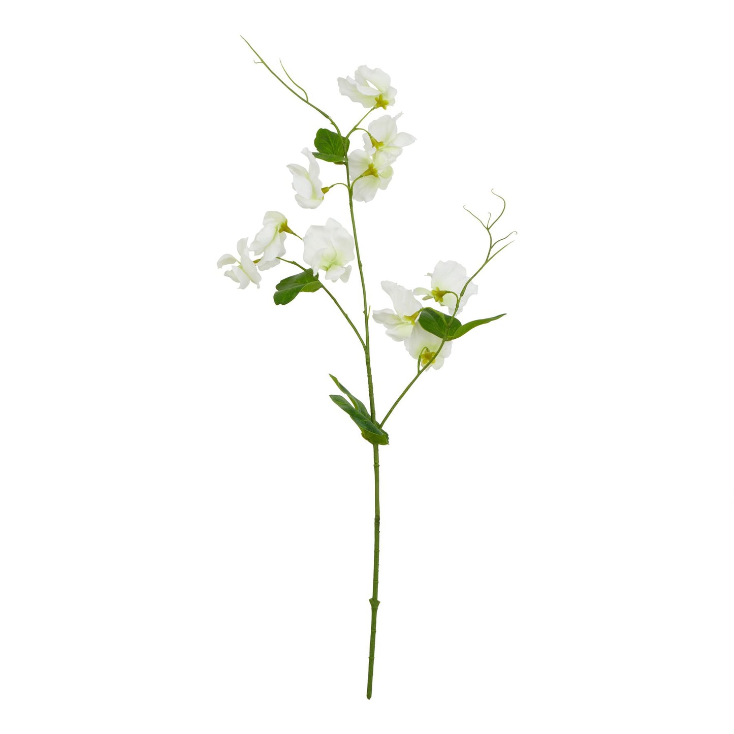 Set of 3 Artificial Flowers White Sweet Pea Stems
