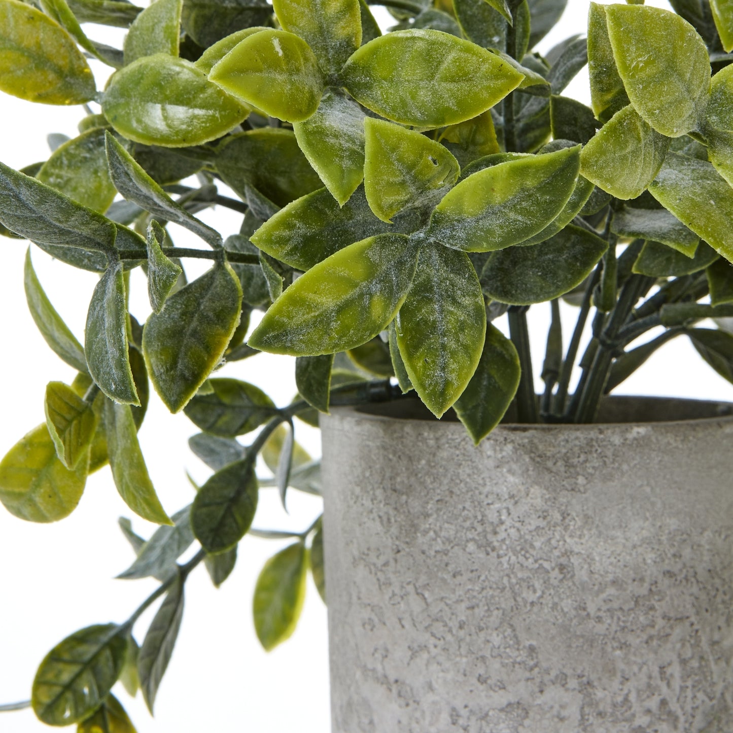 Small Artificial Boxwood Plant In Grey Ceramic Pot