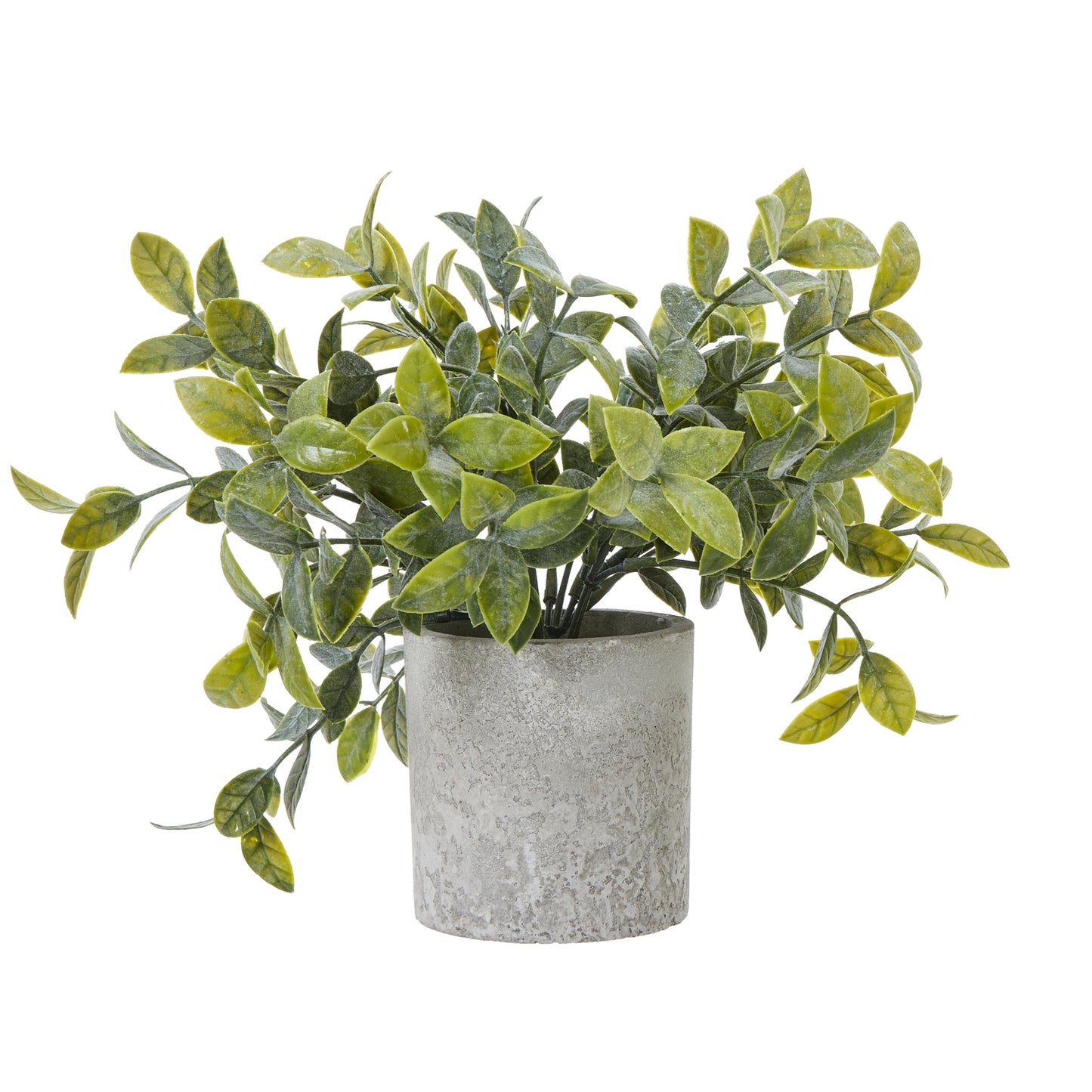 Small Artificial Boxwood Plant In Grey Ceramic Pot