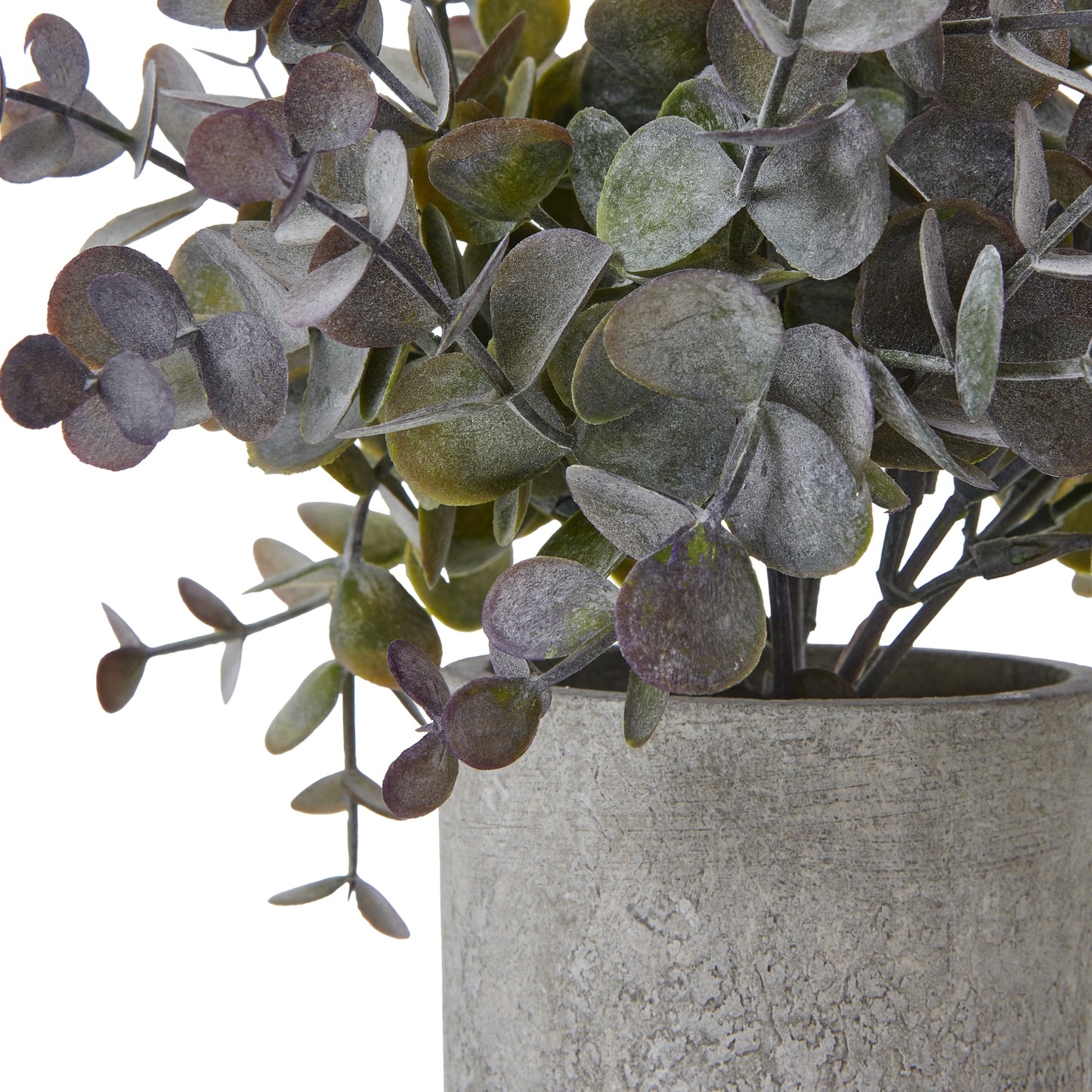 Small Artificial Eucalyptus Cinerea Plant In Grey Ceramic Pot