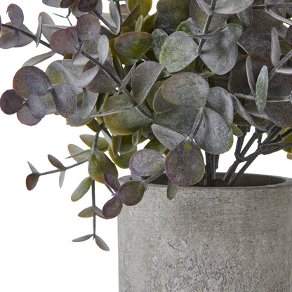 Small Artificial Eucalyptus Cinerea Plant In Grey Ceramic Pot