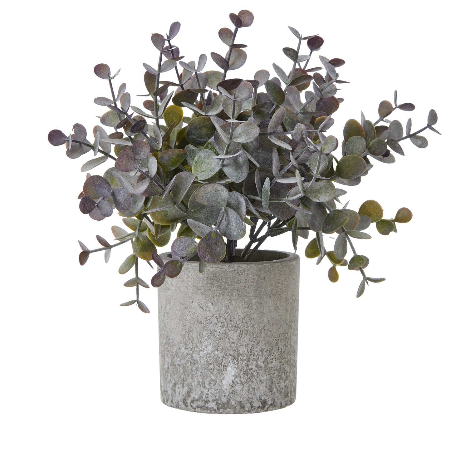 Small Artificial Eucalyptus Cinerea Plant In Grey Ceramic Pot