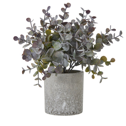 Small Artificial Eucalyptus Cinerea Plant In Grey Ceramic Pot