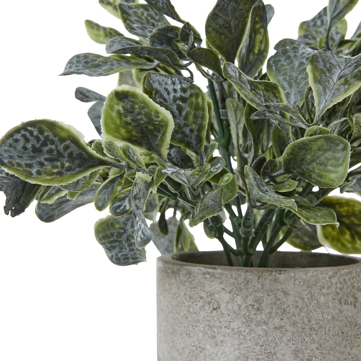 Small Artificial Giana Eucalyptus Plant In Grey Ceramic Pot