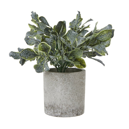 Small Artificial Giana Eucalyptus Plant In Grey Ceramic Pot