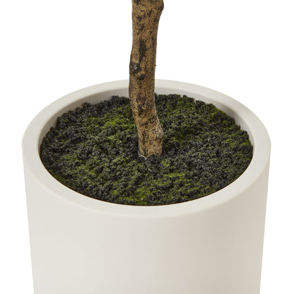 180cm Tall Mediterranean  Artificial Olive Tree In White Ceramic Pot