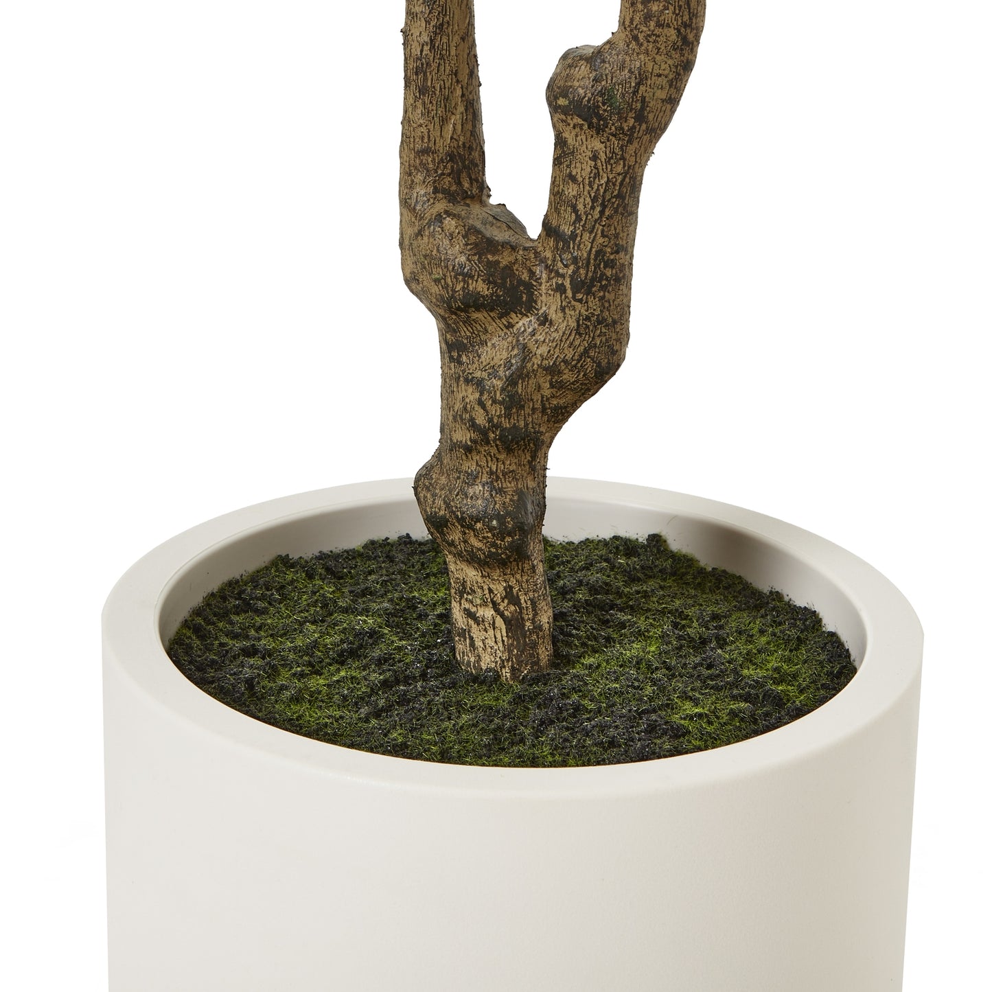 240cm Tall Mediterranean  Artificial Olive Tree In White Ceramic Pot