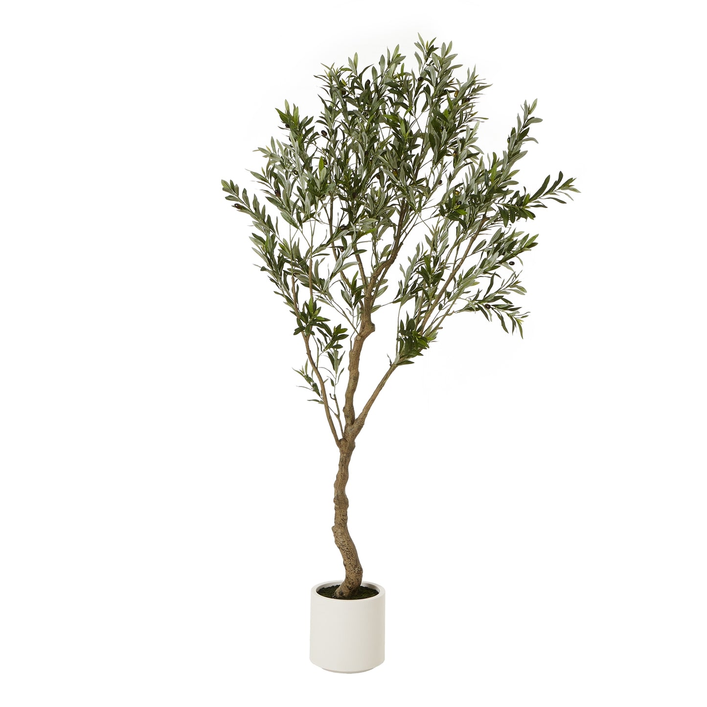 200cm Tall Mediterranean Artificial Olive Tree In White Ceramic Pot