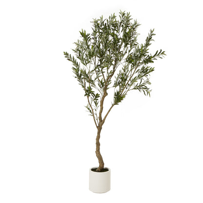 200cm Tall Mediterranean Artificial Olive Tree In White Ceramic Pot