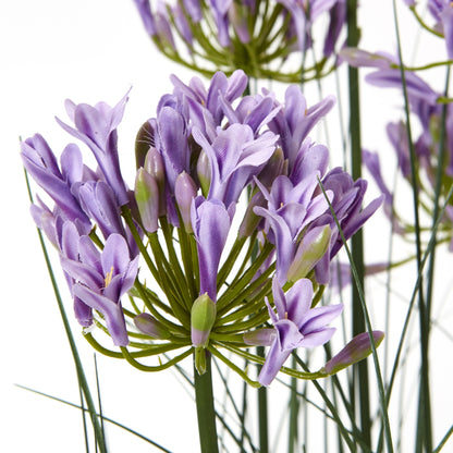 Artificial Flowers Large Purple Agapanthus Plant In Pot