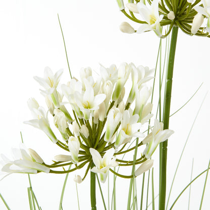 Artificial Flowers 90cm White Agapanthus Plant (pot not included)