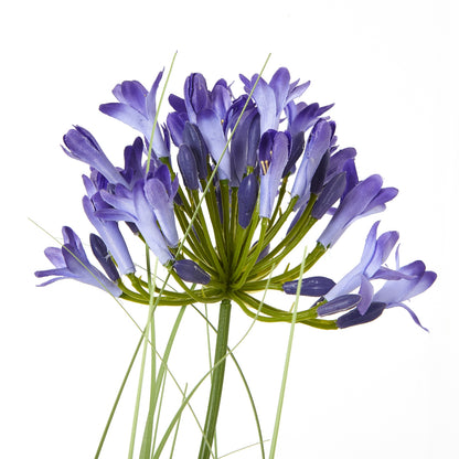 Artificial Flowers 90cm Blue Agapanthus Plant (pot not included)