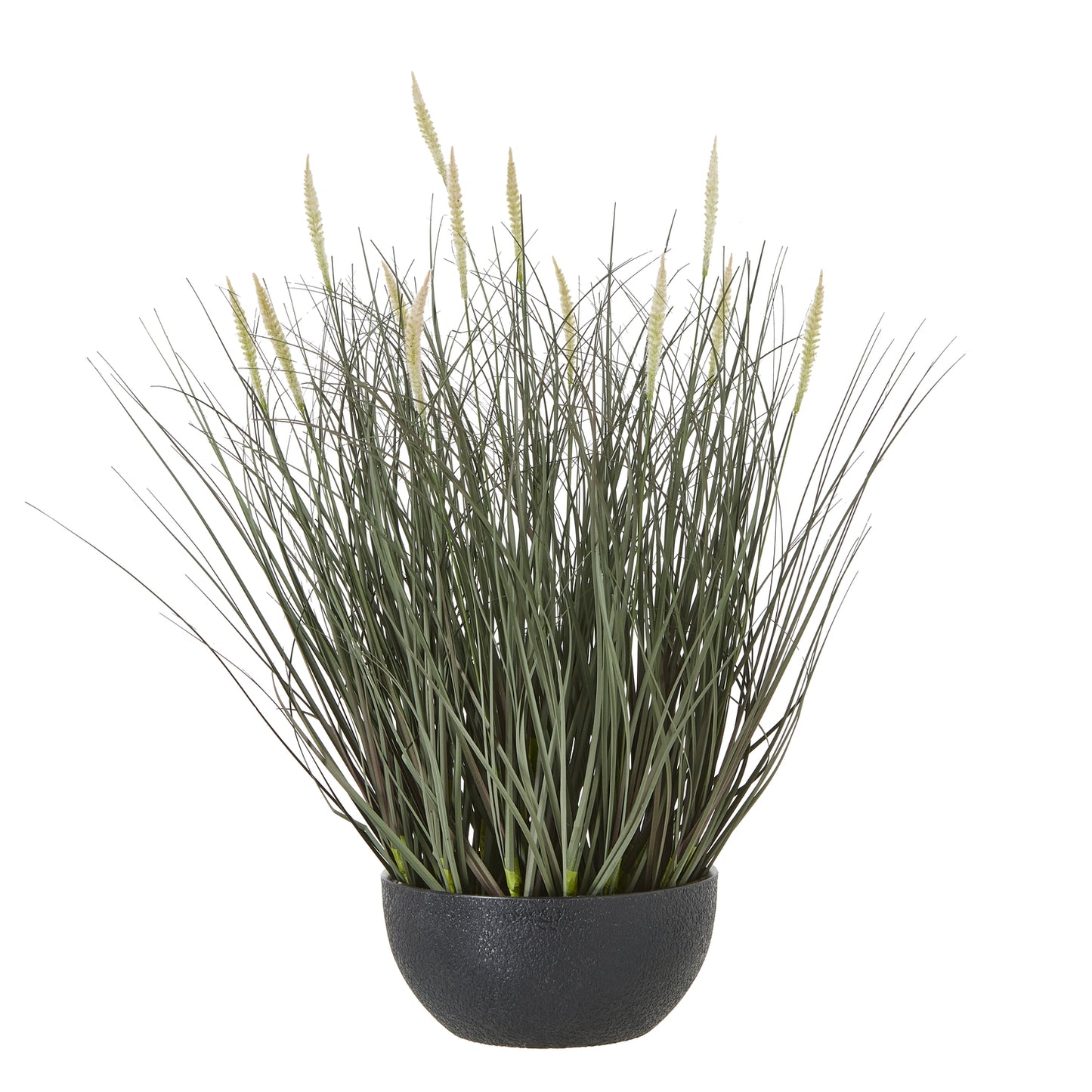 50cm Grass Plant (pot not included)