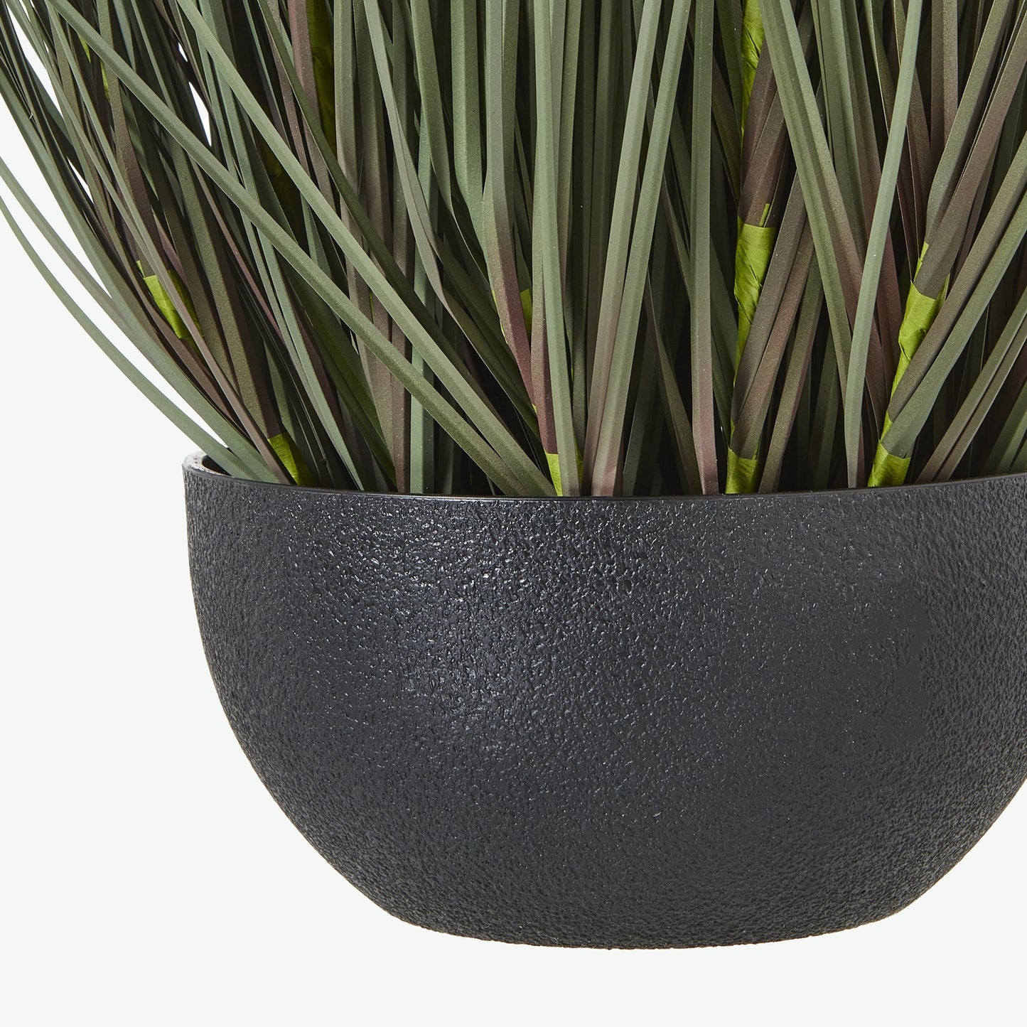 50cm Grass Plant (pot not included)