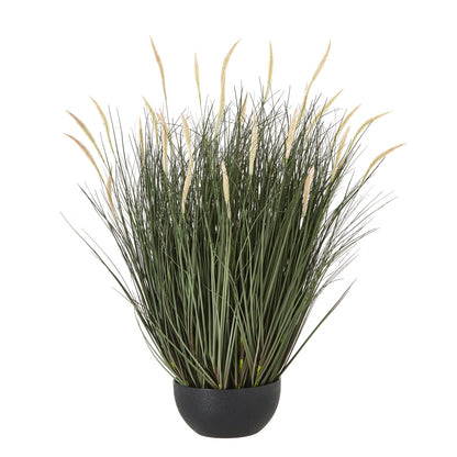 Large 80cm Tall Grass Plant (pot not included)