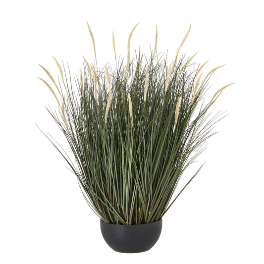 Large 80cm Tall Grass Plant (pot not included)