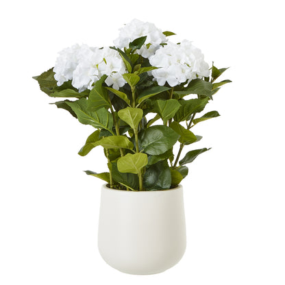 Artificial Plant Medium White Hydrangea Plant In White Ceramic Pot