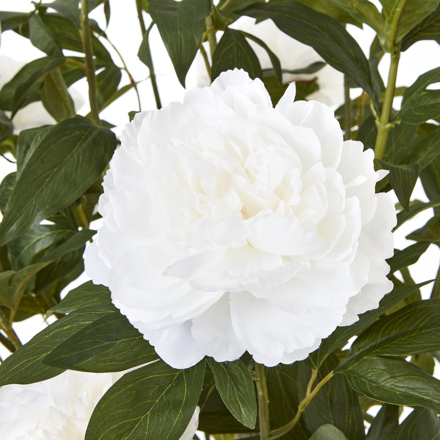 Artificial Plant Extra Large White Peony Bush In White Ceramic Pot