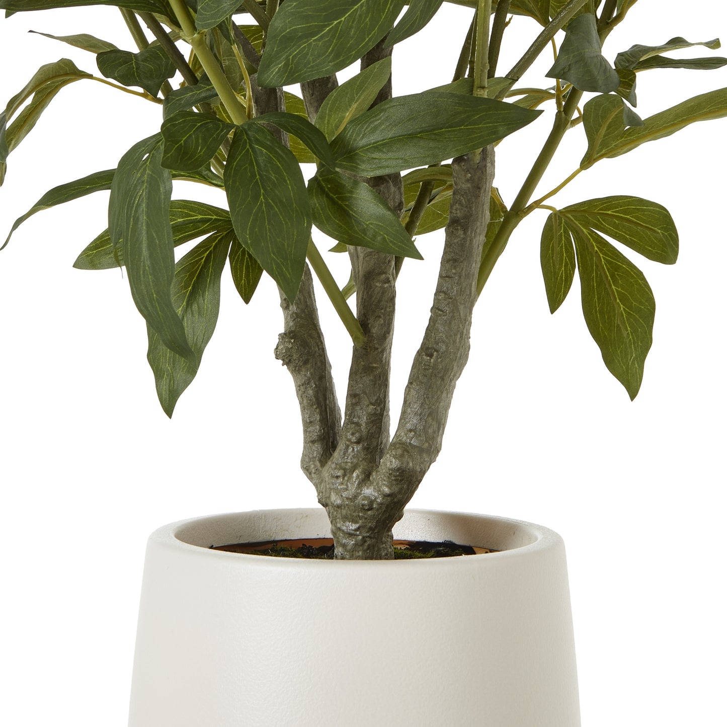 Artificial Plant Extra Large White Peony Bush In White Ceramic Pot