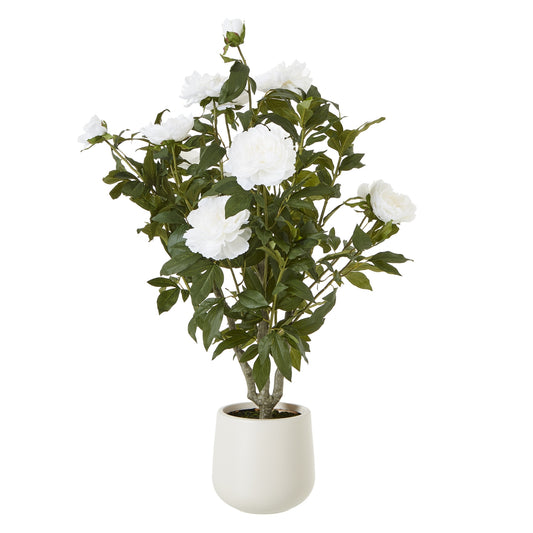 Artificial Plant Extra Large White Peony Bush In White Ceramic Pot