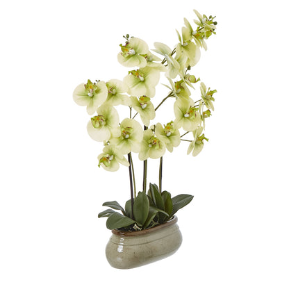 Artificial Plant Large Green Orchid In Ceramic Pot