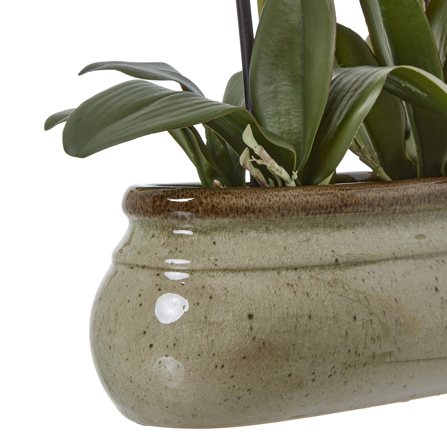 Artificial Plant Large Green Orchid In Ceramic Pot