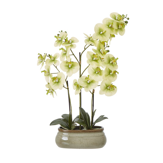 Artificial Plant Large Green Orchid In Ceramic Pot