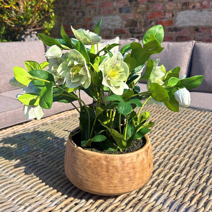 Artificial Plant Green Hellebore Plant In Brown Ceramic Pot