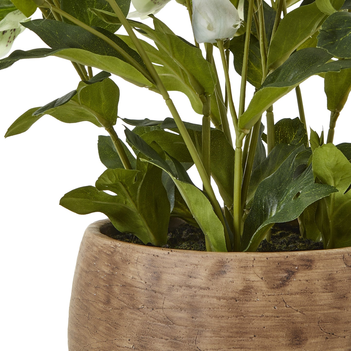 Artificial Plant Green Hellebore Plant In Brown Ceramic Pot