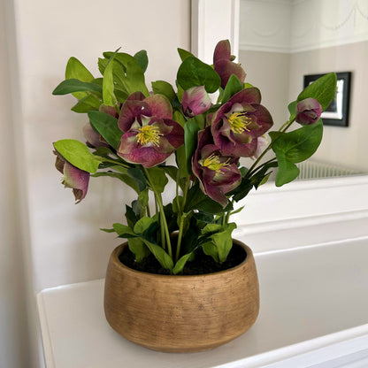 Artificial Plant Deep Plum Hellebore Plant In Brown Ceramic Pot