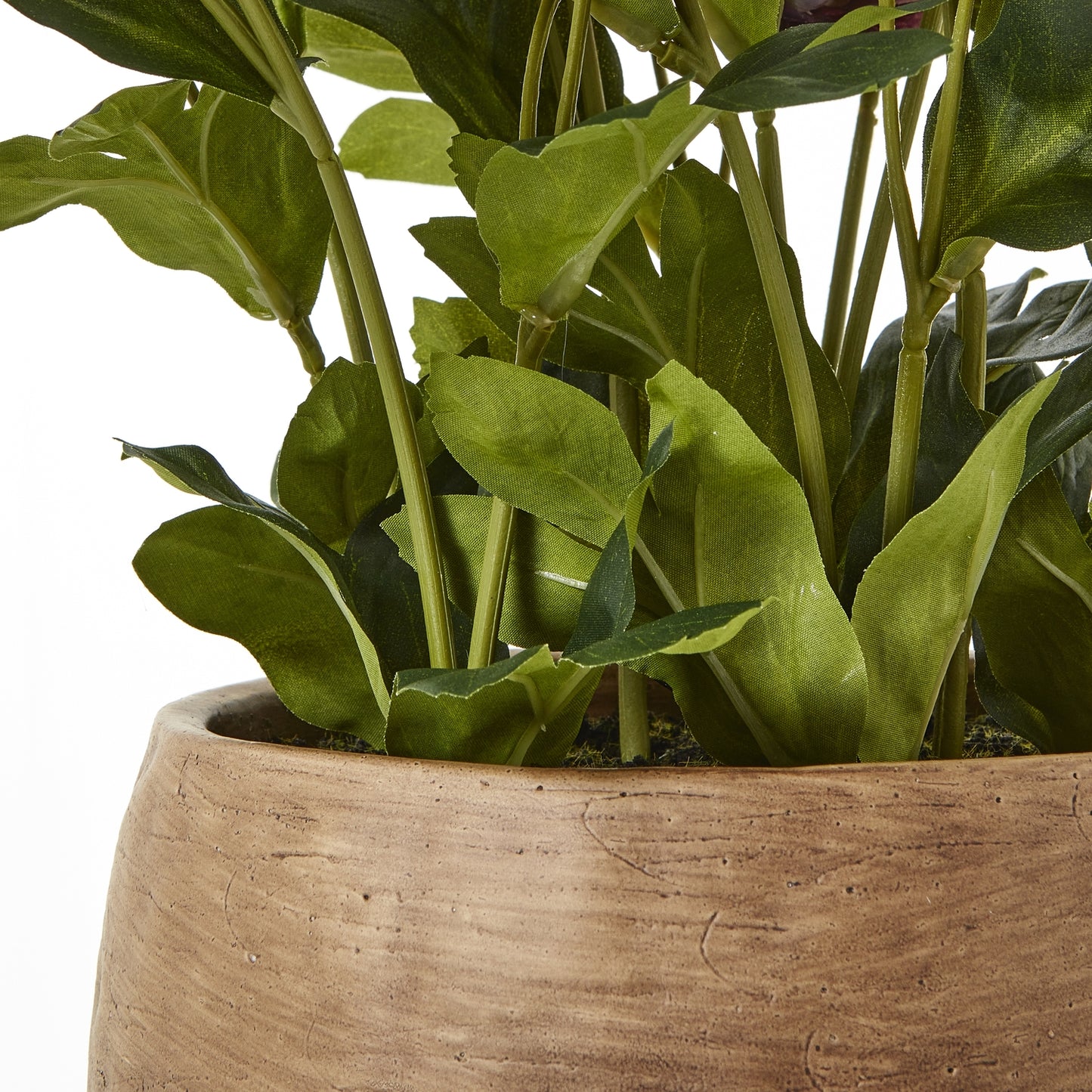 Artificial Plant Deep Plum Hellebore Plant In Brown Ceramic Pot