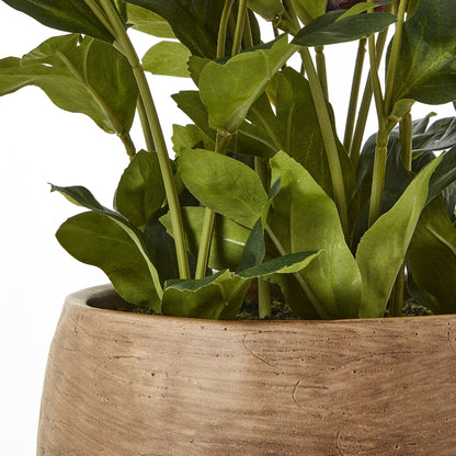 Artificial Plant Deep Plum Hellebore Plant In Brown Ceramic Pot
