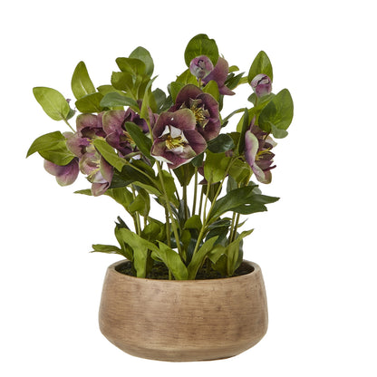 Artificial Plant Deep Plum Hellebore Plant In Brown Ceramic Pot