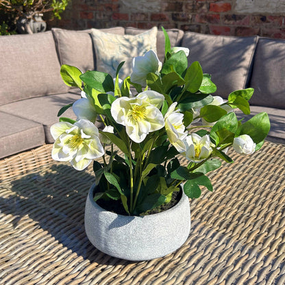 Artificial Plant White Hellebore Plant In Grey Ceramic Pot