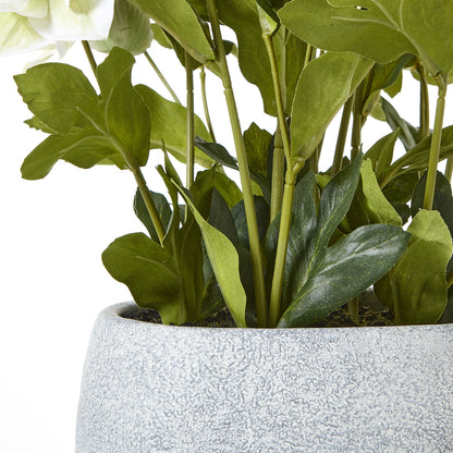 Artificial Plant White Hellebore Plant In Grey Ceramic Pot