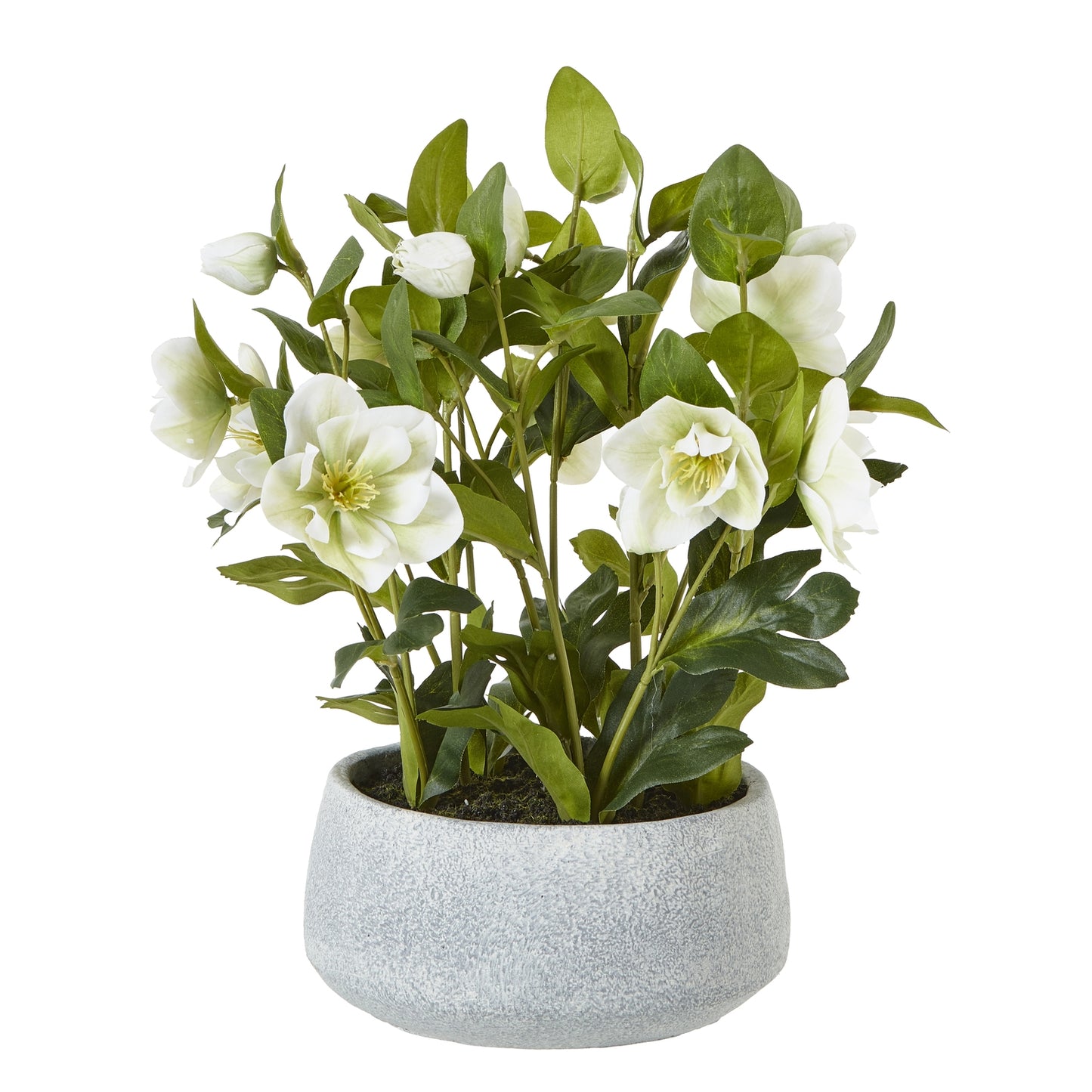 Artificial Plant White Hellebore Plant In Grey Ceramic Pot