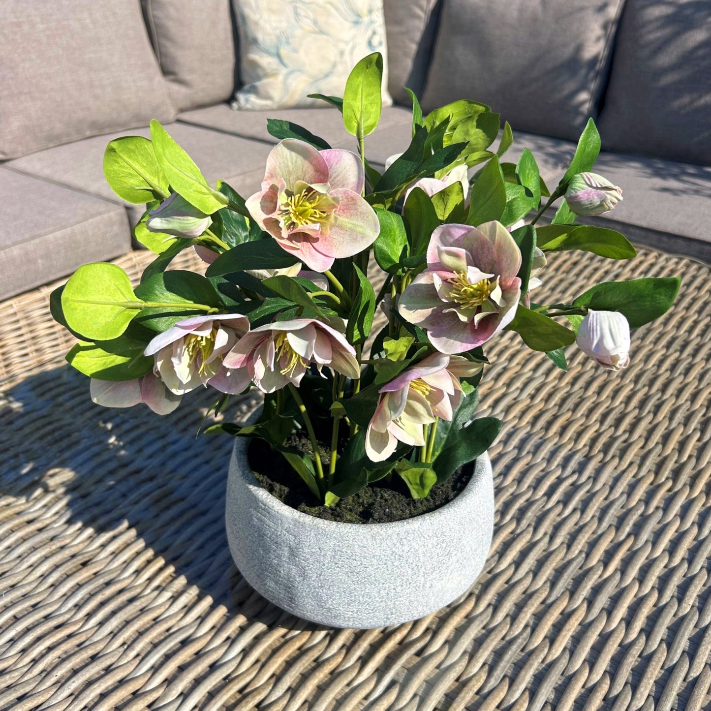 Artificial Plant Variegated Pink Hellebore Plant In Grey Ceramic Pot