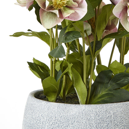 Artificial Plant Variegated Pink Hellebore Plant In Grey Ceramic Pot