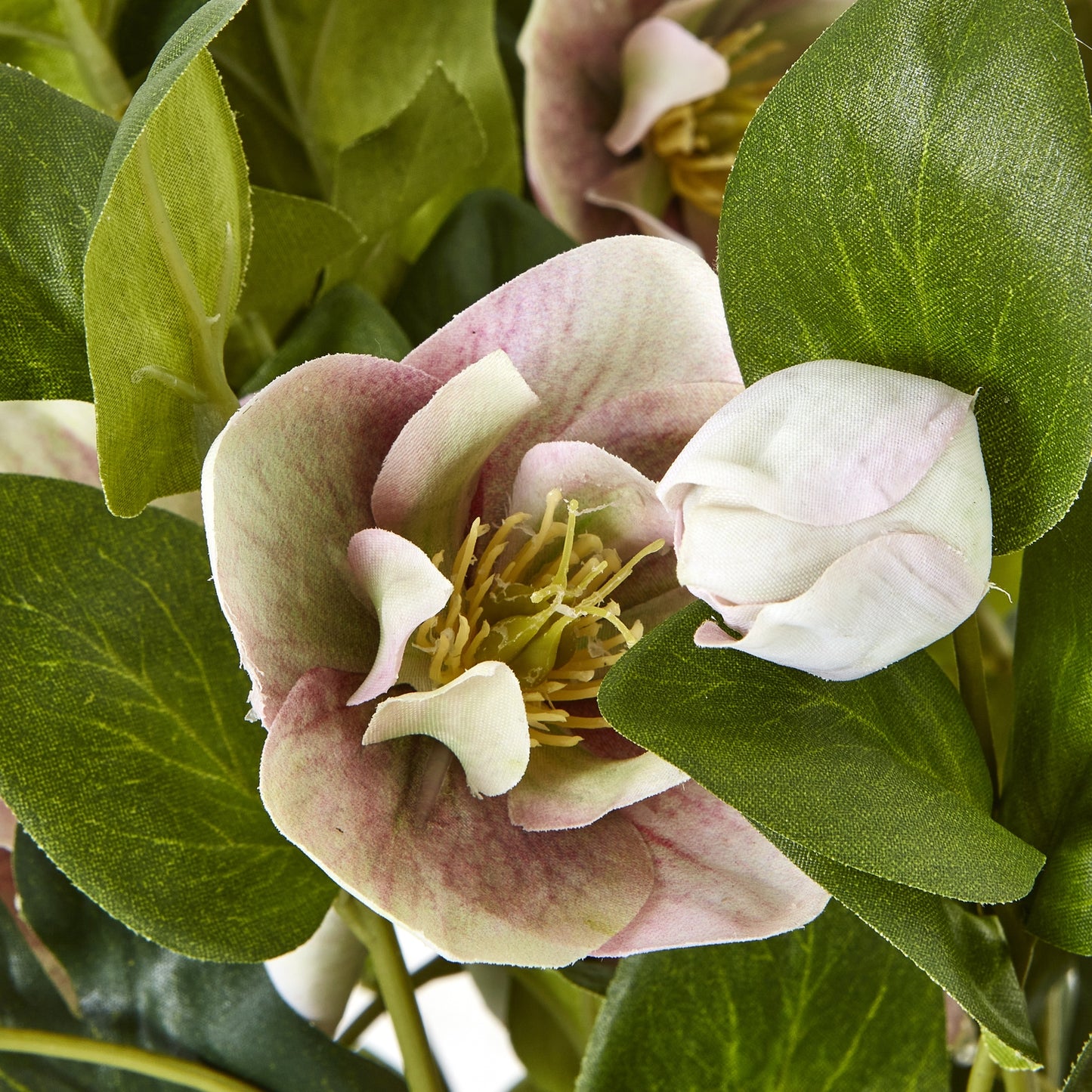 Artificial Plant Variegated Pink Hellebore Plant In Grey Ceramic Pot