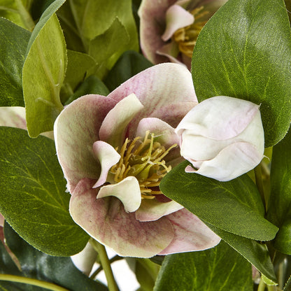 Artificial Plant Variegated Pink Hellebore Plant In Grey Ceramic Pot
