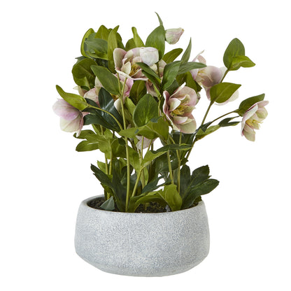 Artificial Plant Variegated Pink Hellebore Plant In Grey Ceramic Pot