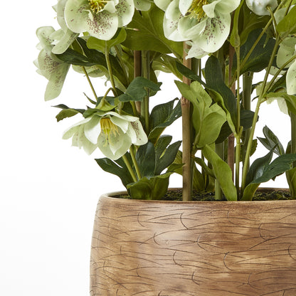 Artificial Plant Large Green Hellebore in Brown Ceramic Pot