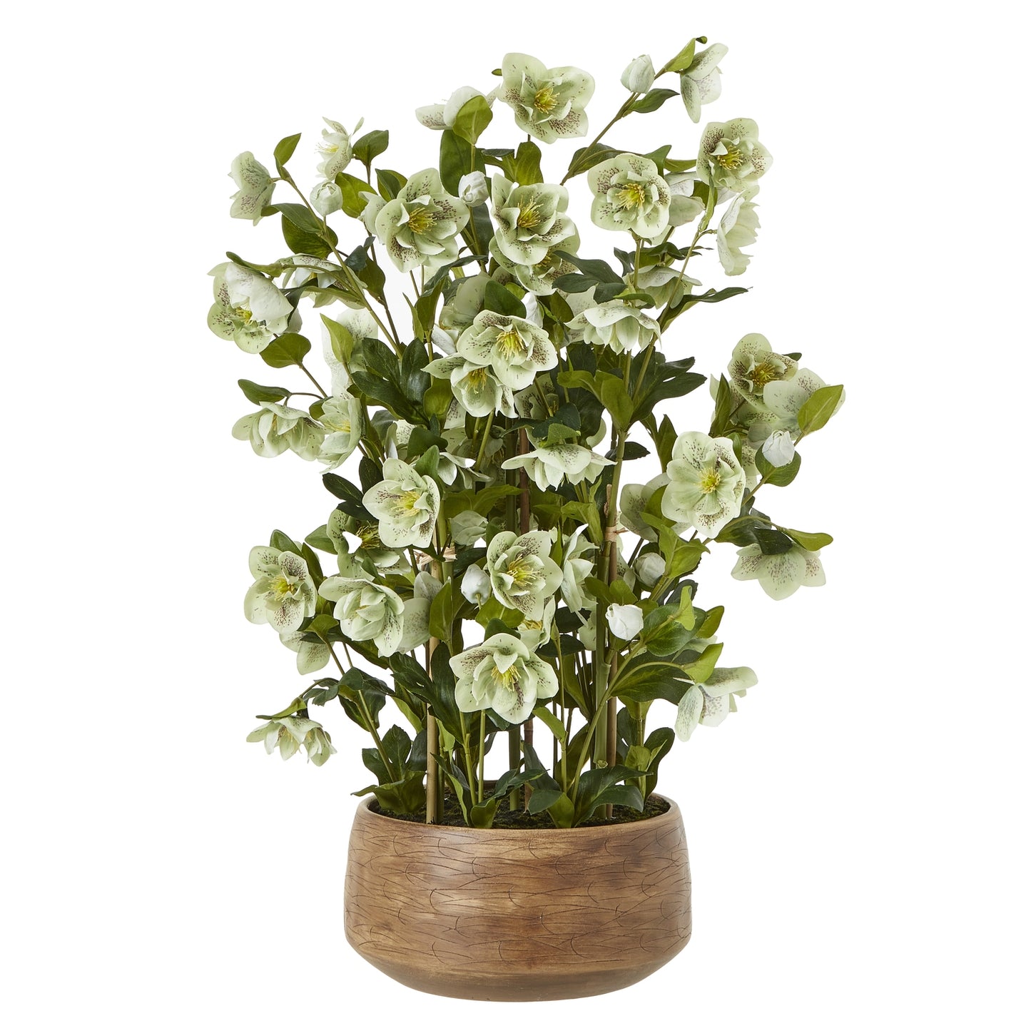 Artificial Plant Large Green Hellebore in Brown Ceramic Pot