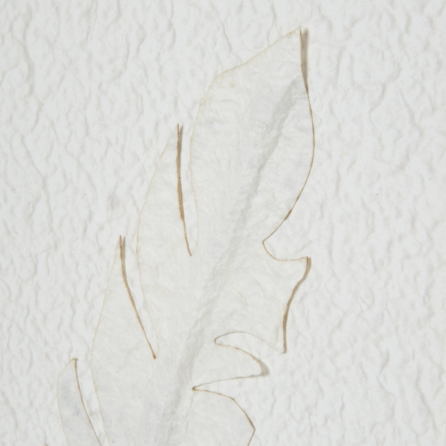 Les Vans White 3 Feathers Art Mounted In Beaded Frame